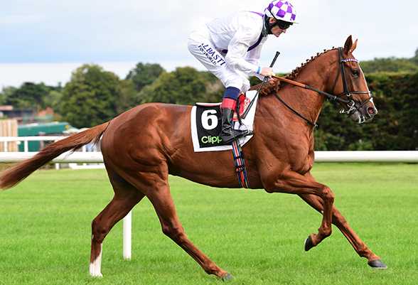 Leopardstown 11-9-21 MAC SWINEY (Kevin Manning)(Healy Racing)